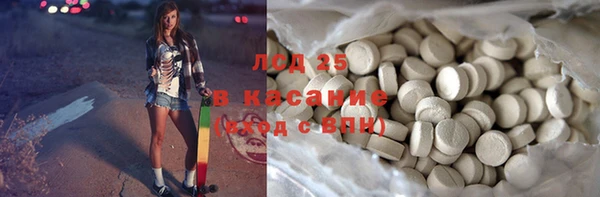 PSILOCYBIN Ельня
