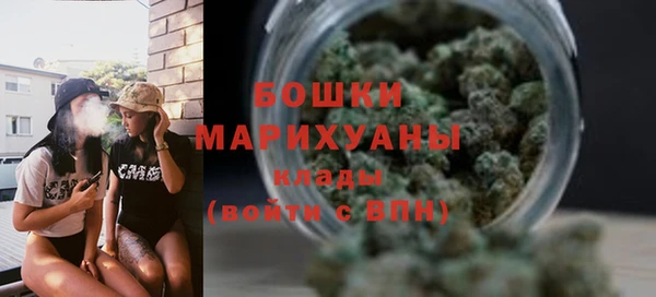 PSILOCYBIN Ельня