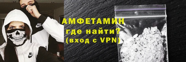 PSILOCYBIN Ельня