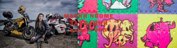PSILOCYBIN Ельня